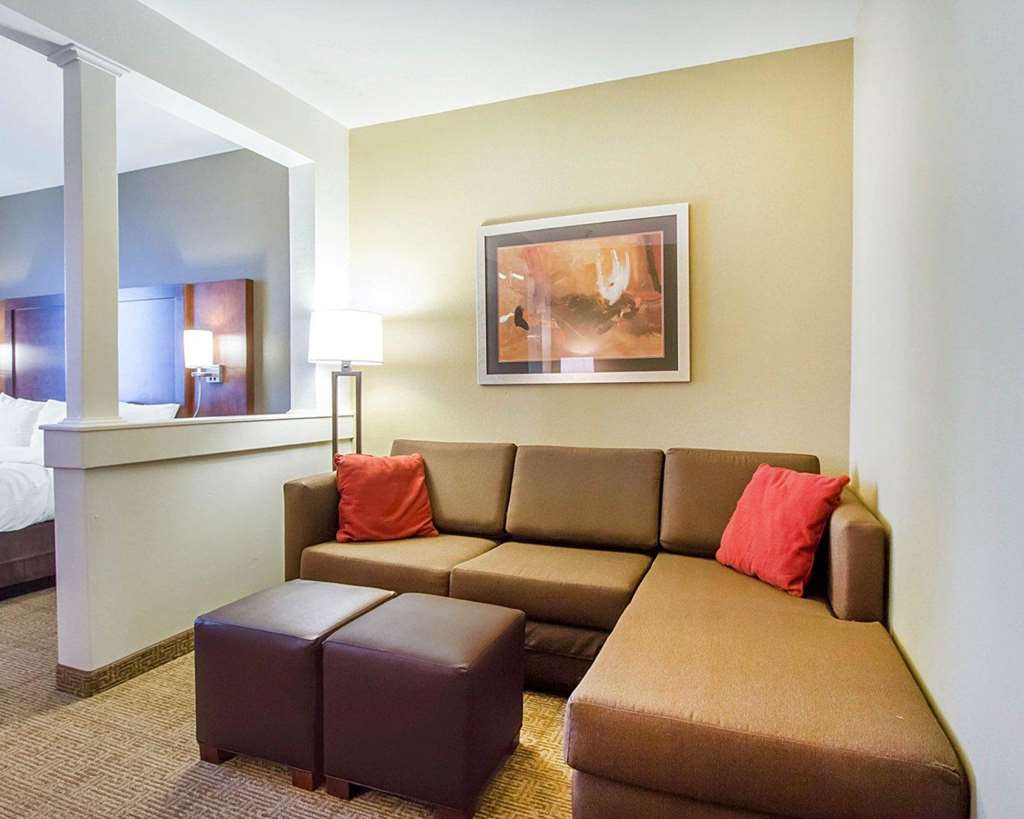 Comfort Suites Abilene Central - photo 19