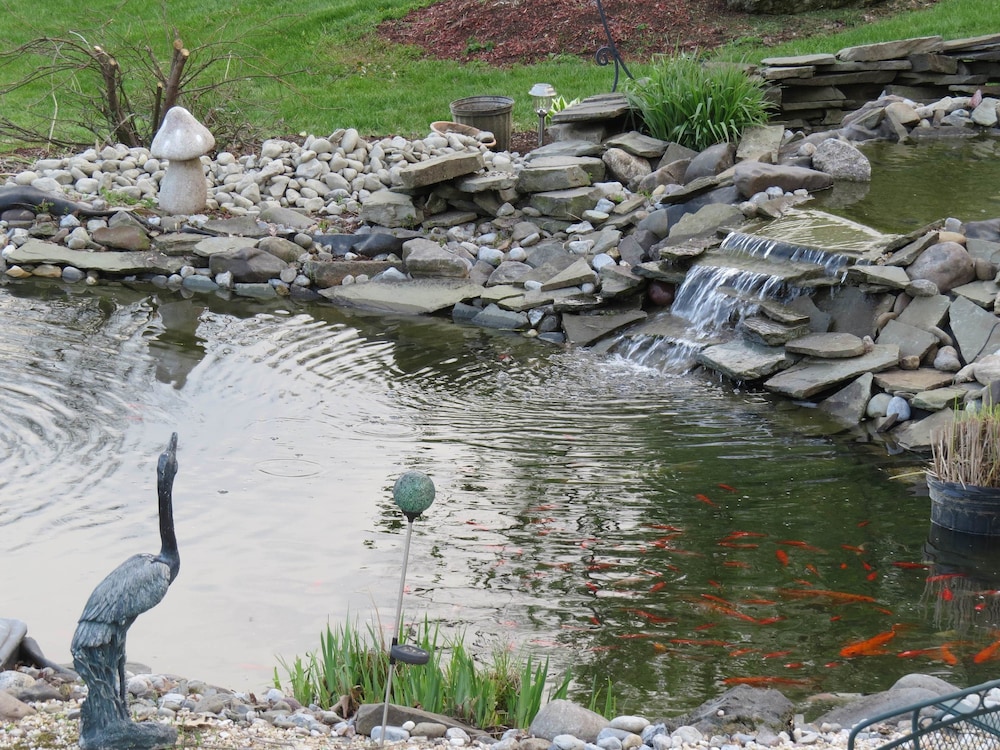 Berry Patch Bed and Breakfast - photo 45