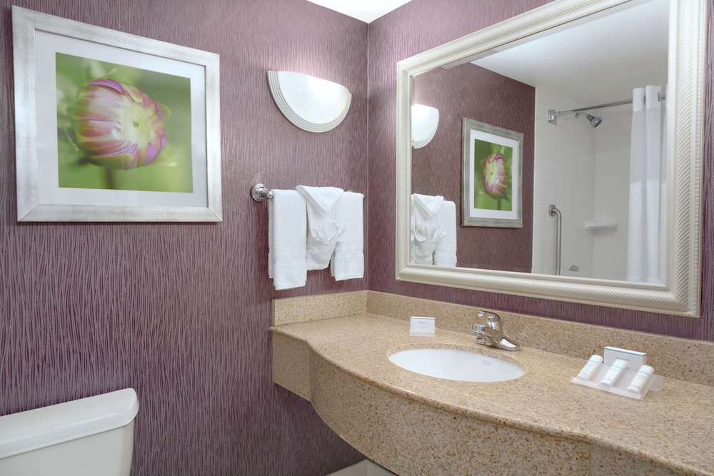 Hilton Garden Inn Springfield MA - photo 11