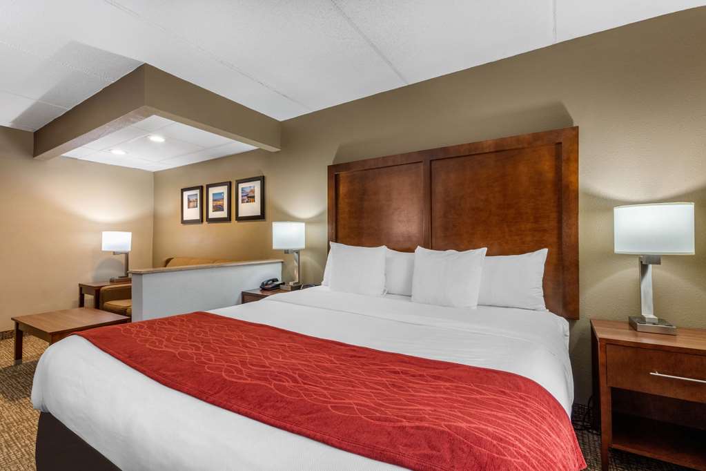 Comfort Inn & Suites Hamilton Place - photo 15