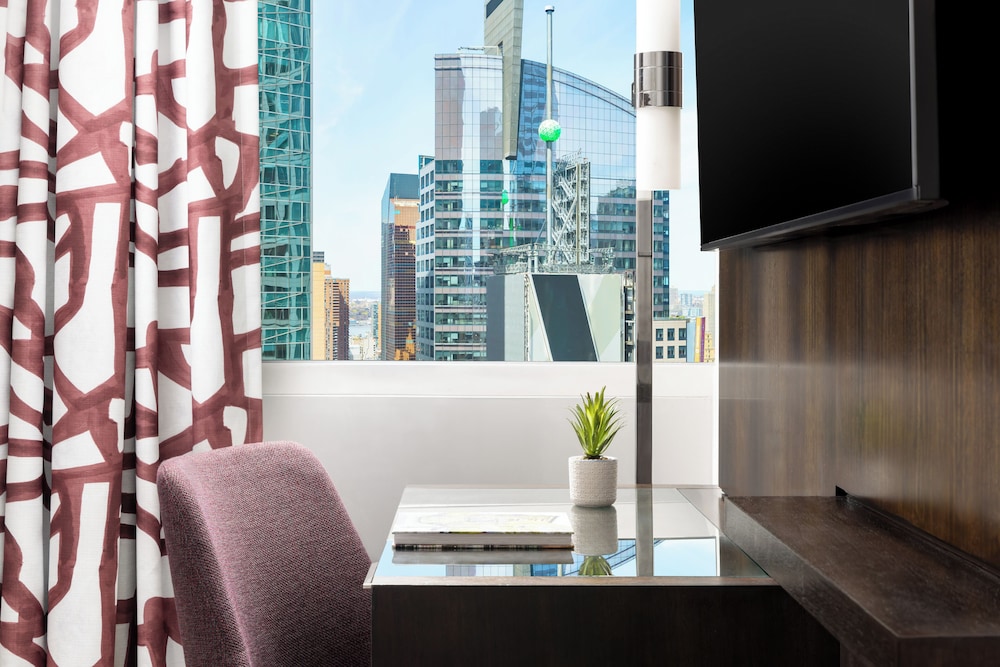 Hilton Garden Inn New York Times Square Central - photo 36