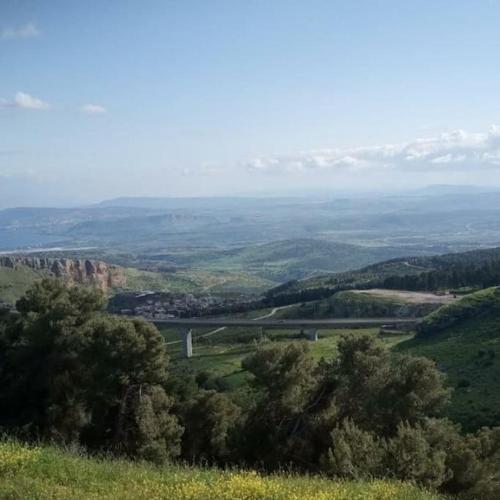 Two stand alone flats on the cliff with wild animals Galilee Sea & Mountains View — 4-Star Luxury Hotel in Safed, Israel