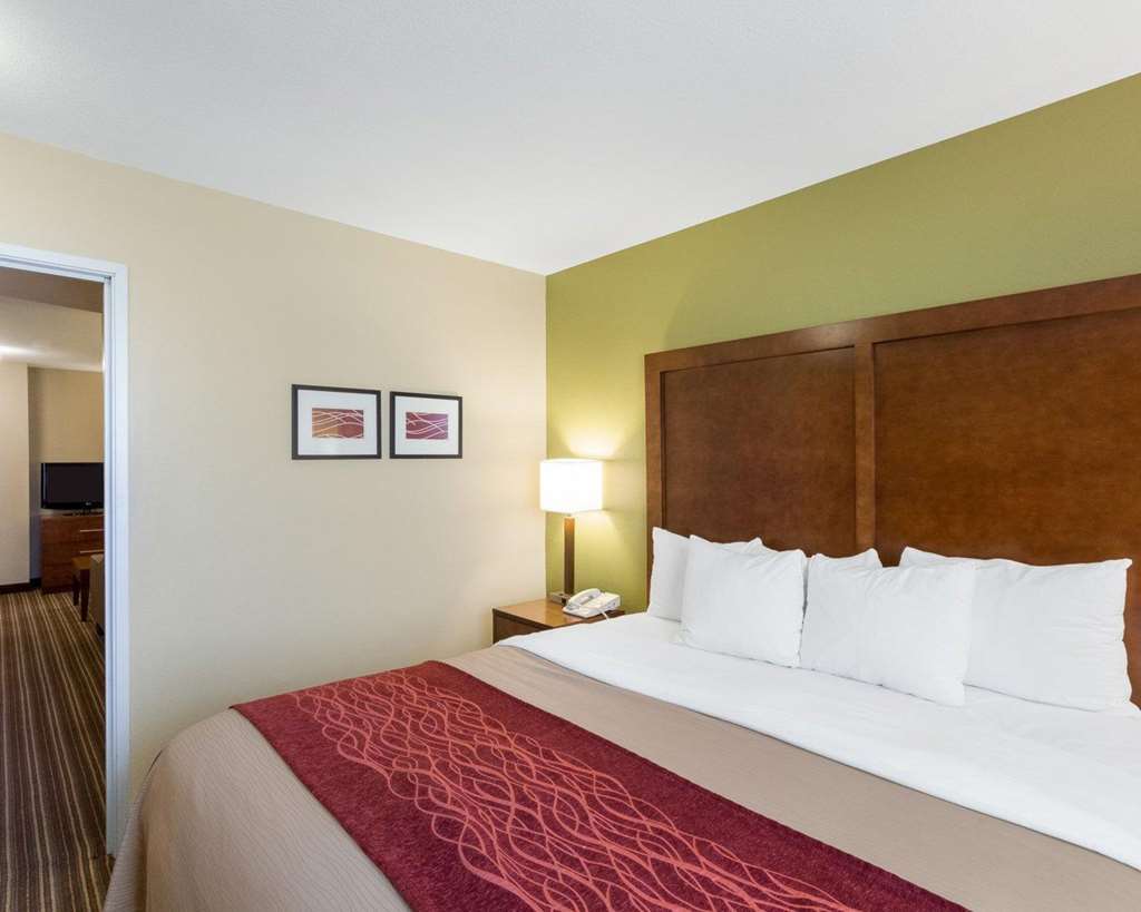 Comfort Inn & Suites Fayetteville University Area - photo 21