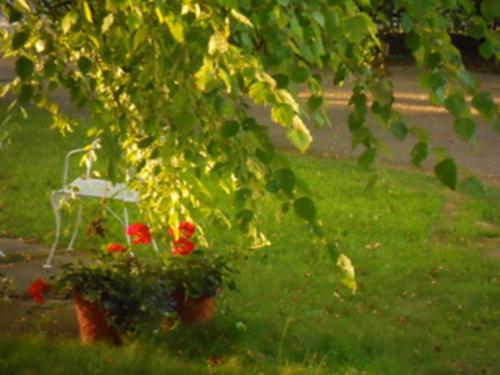 Orient Inn - photo 5