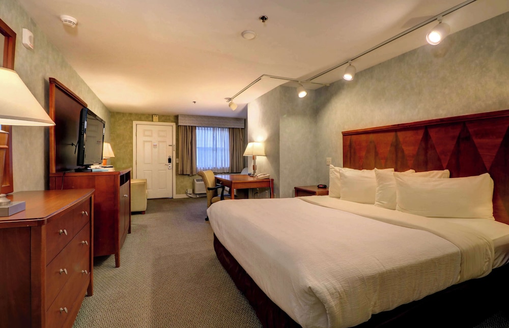 Senator Inn & Spa - photo 25