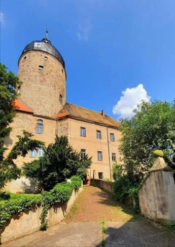Schloss Ruhethal pet-friendly hotel Muegeln