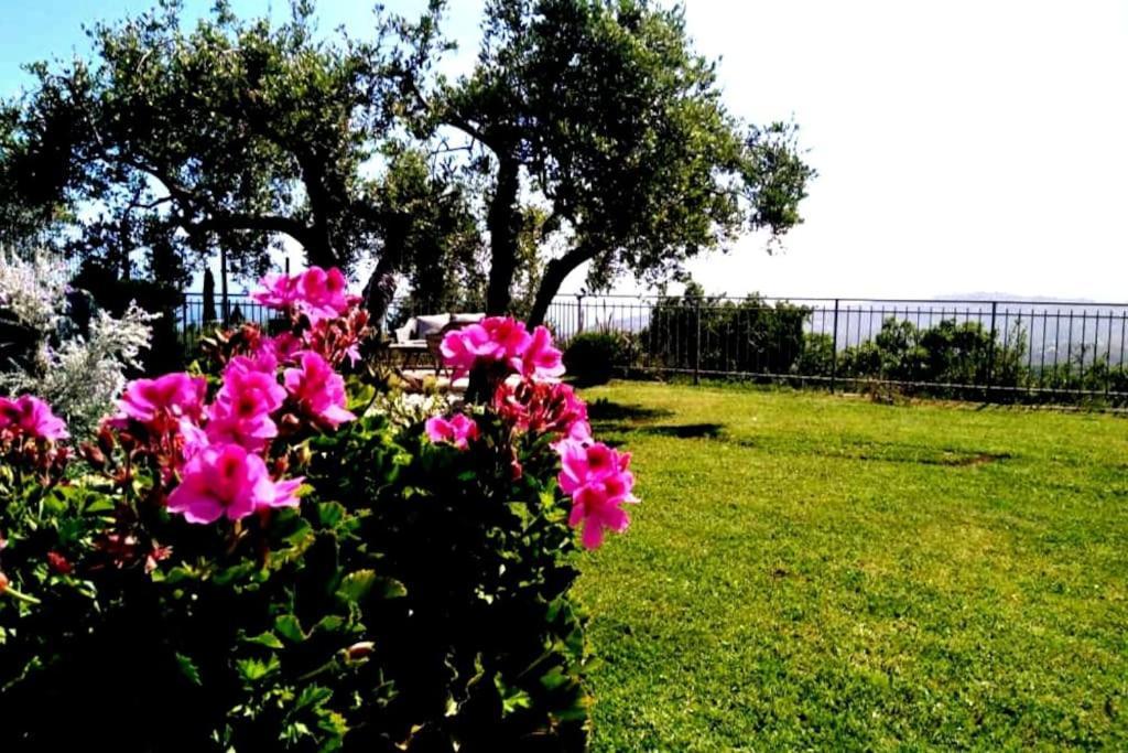Casa Vista Mare Superb Garden And Parking Included — 4-Star Luxury Hotel in Imperia, Italy