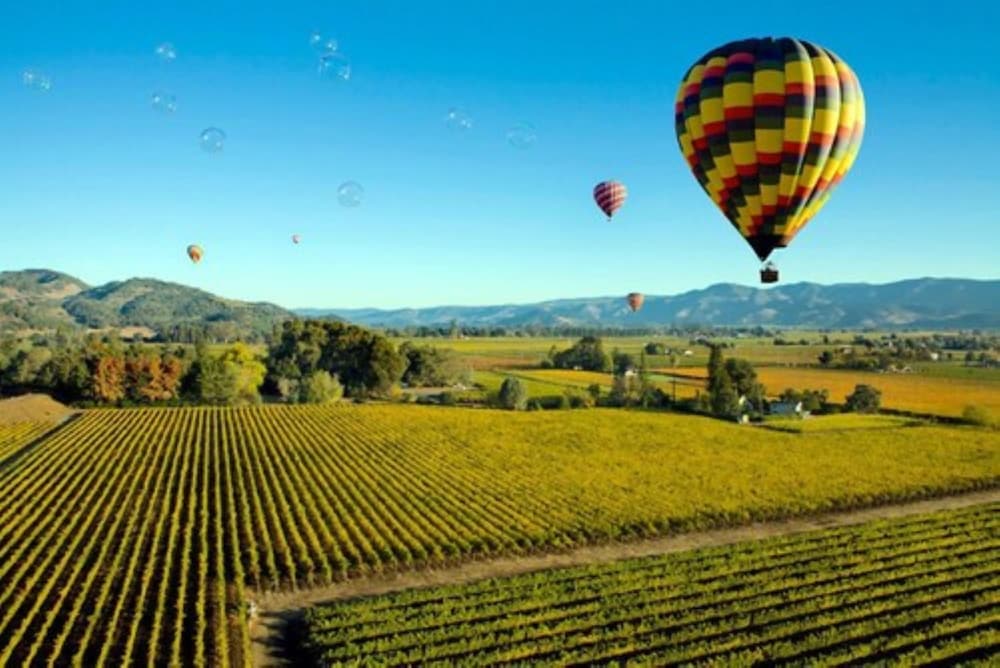 The Knoll Hotel Napa Valley Tapestry by Hilton - photo 26