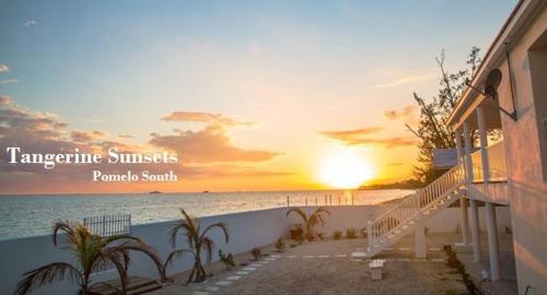 Tangerine Sunsets Pomelo South — Unknown City