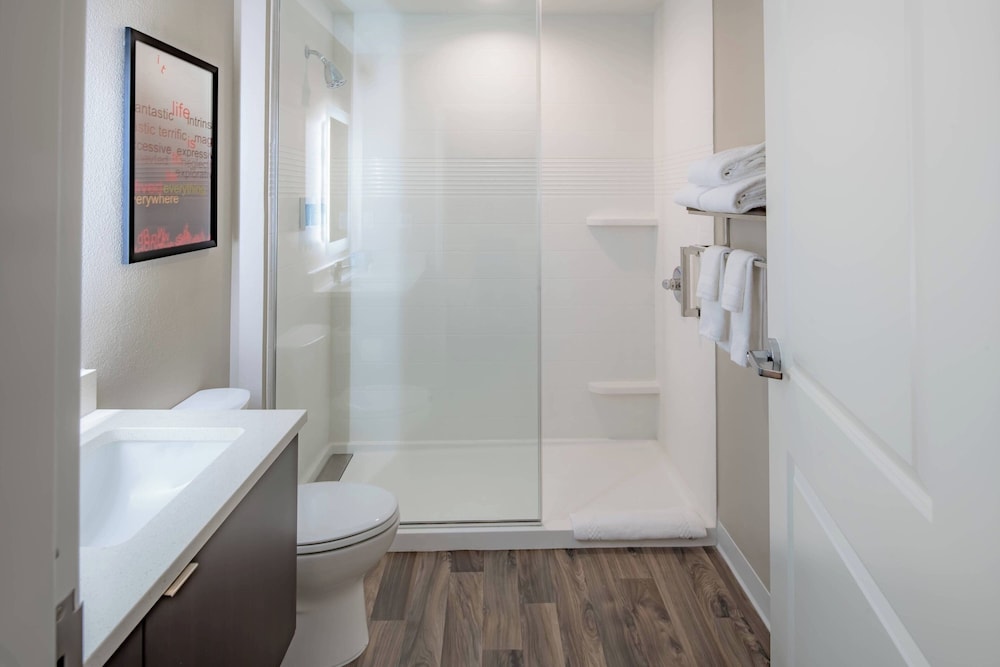 TownePlace Suites by Marriott Austin South - photo 12