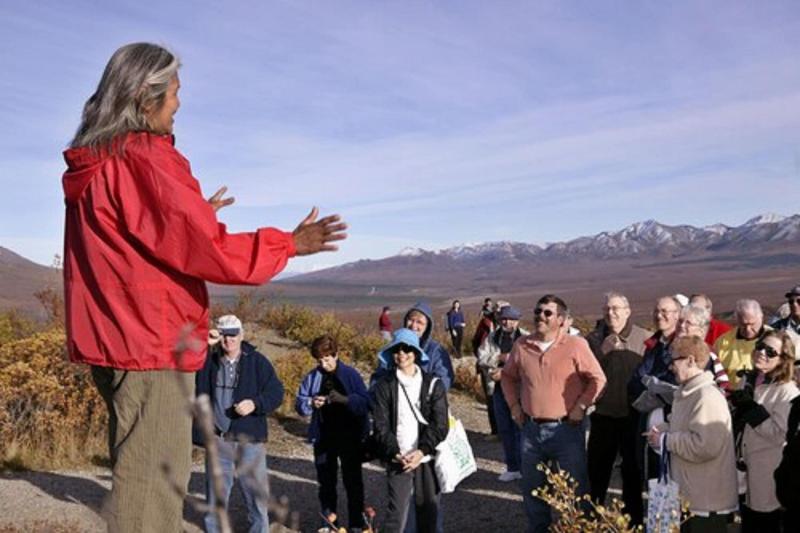 Denali Park Village - photo 16