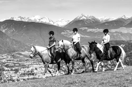 Widmannhof Urlaub auf dem Biobauernhof in Bressanone, Italy