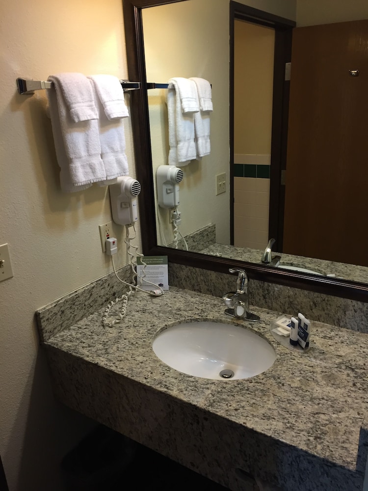 Blossom Hotel & Suites Traverse City - photo 29