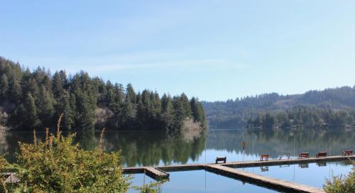 Mercer Lake Resort and Beach - photo 11