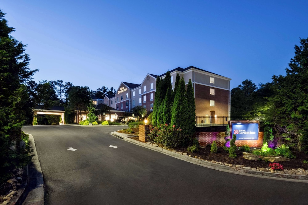 Hilton Garden Inn Atlanta Peachtree City - photo 41