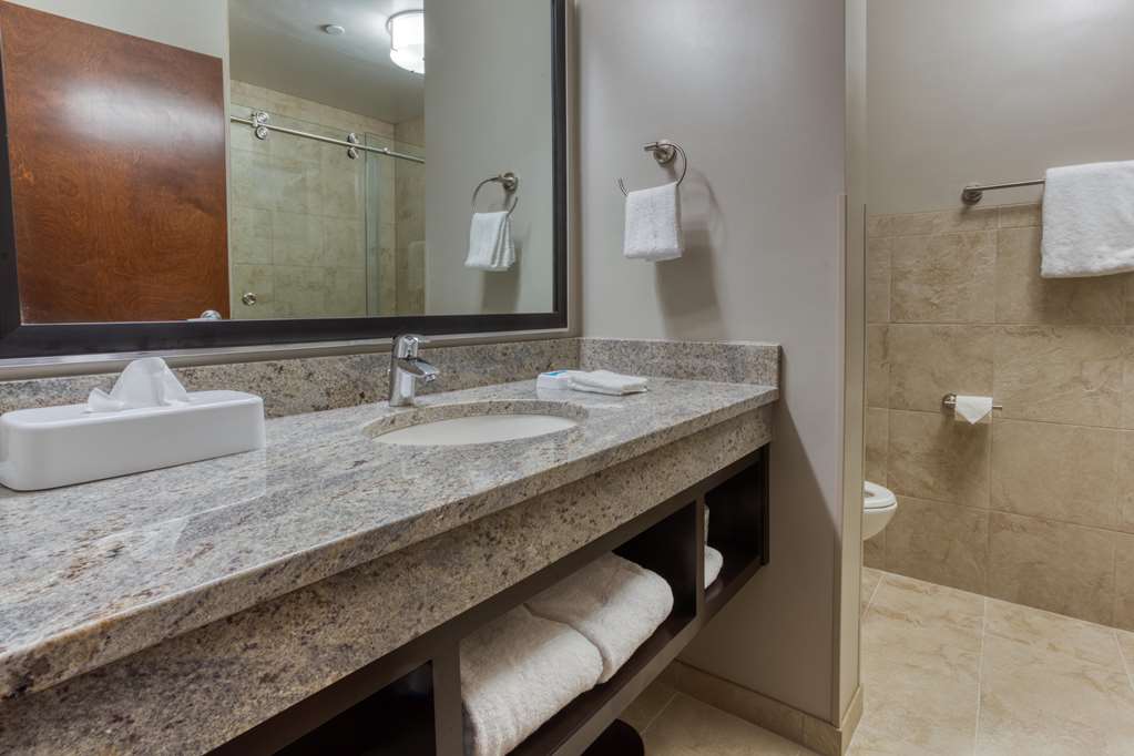 Drury Inn & Suites Huntsville at the Space & Rocket Center - photo 15