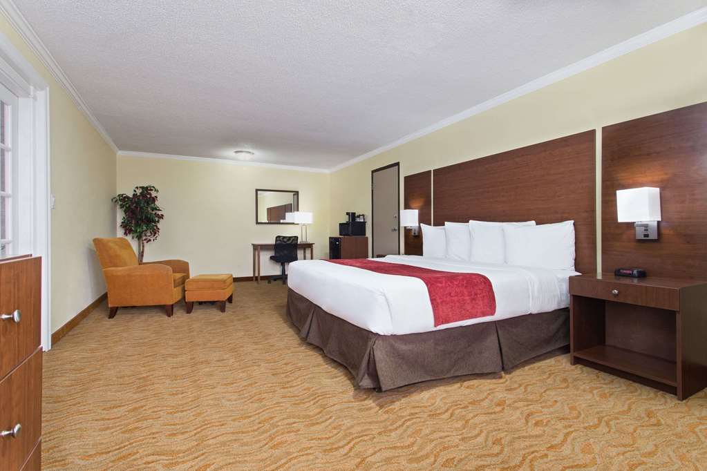 Ramada by Wyndham Tampa Westshore Airport South - photo 31