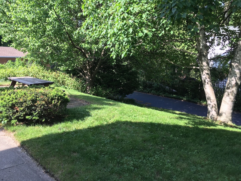 Ludington Blue Spruce Inn - photo 27