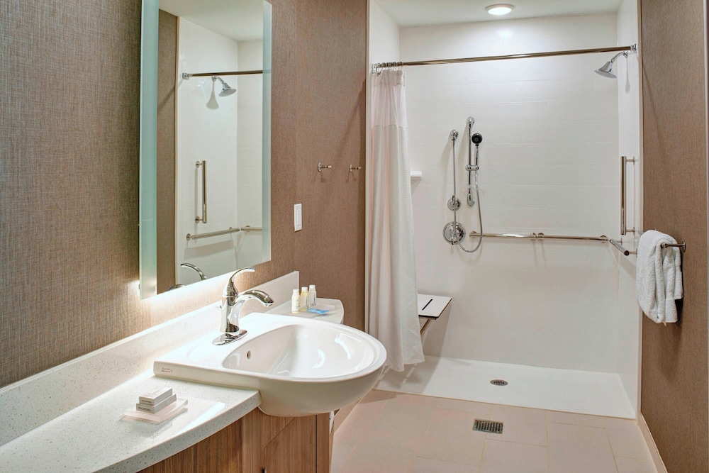 Springhill Suites Grand Rapids West - photo 16