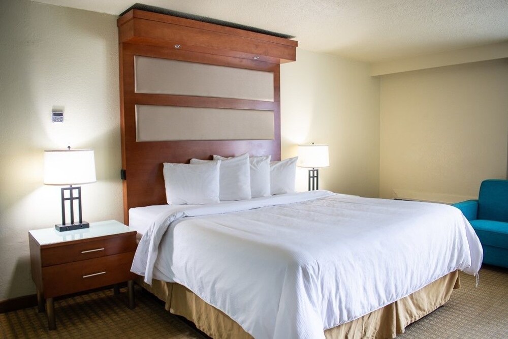 Punta Gorda Waterfront Hotel and Suites - photo 11