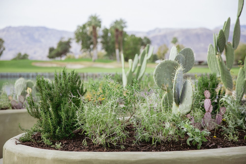 JW Marriott Desert Springs Resort & Spa - photo 192