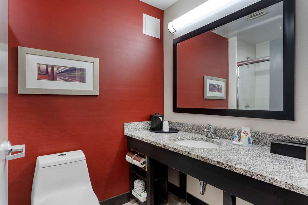 Comfort Inn & Suites near Stadium - photo 23