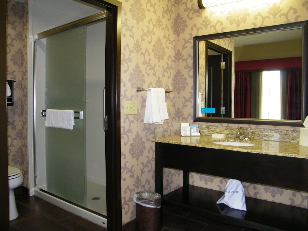 Hampton Inn & Suites Hope - photo 24