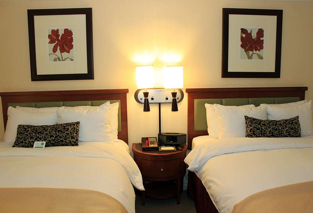 San Carlos Hotel - photo 18