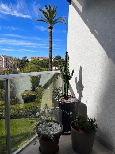 Parc Montfleury — Cannes — photo 4