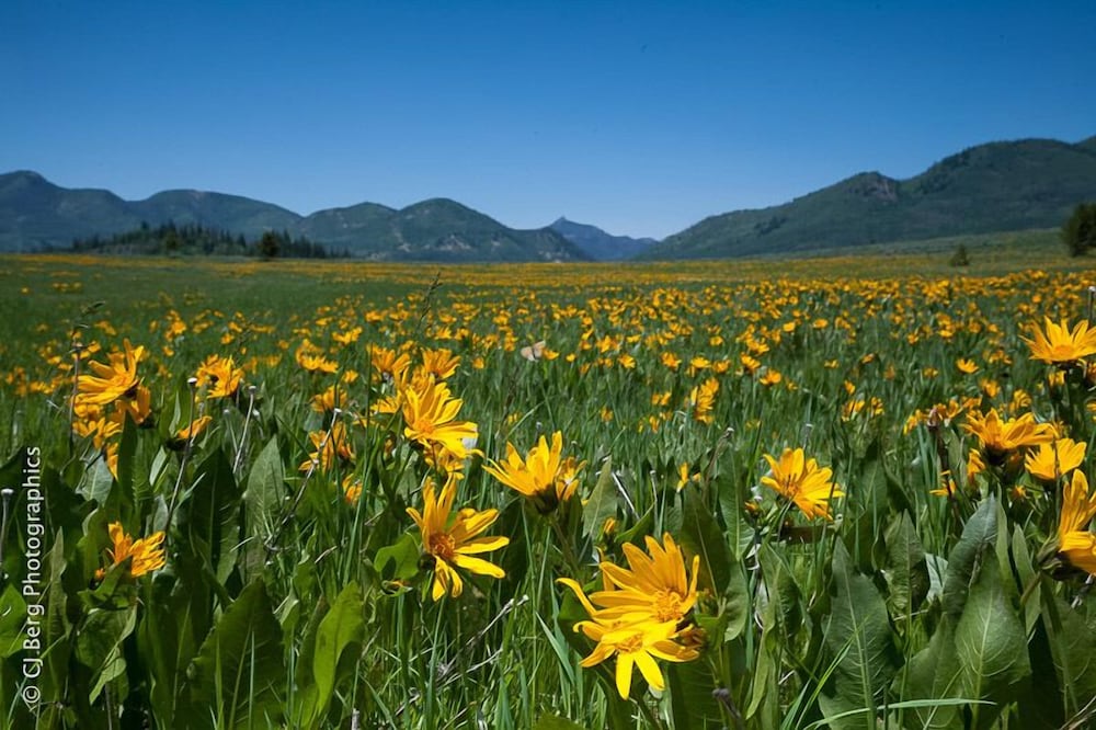 Ironwood 9 — 4-Star Luxury Hotel in Steamboat Springs, United States