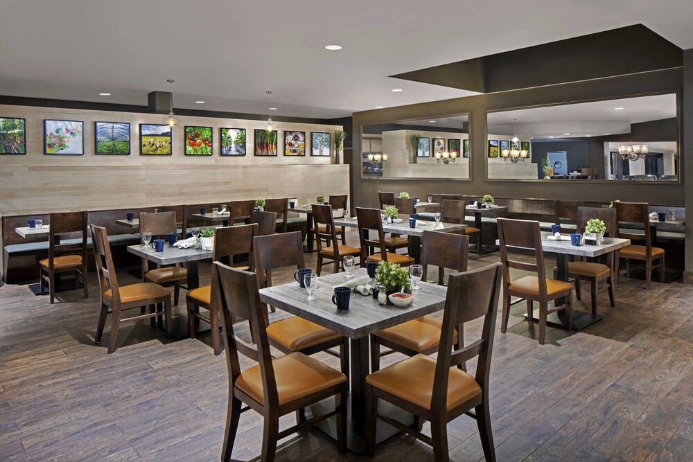 Four Points by Sheraton Anaheim - photo 22