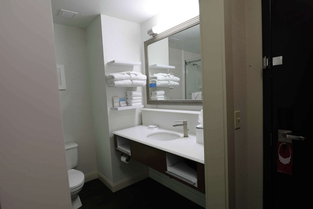 Hampton Inn Dyersburg - photo 14
