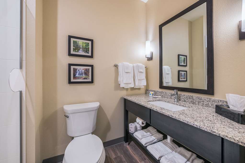 Comfort Suites Marysville Columbus Northwest - photo 17