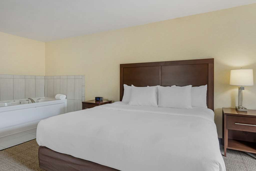 Comfort Suites Lake Geneva East - photo 15