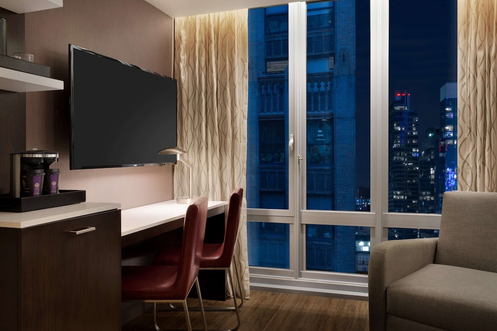 Embassy Suites by Hilton New York Manhattan Times Square - photo 19