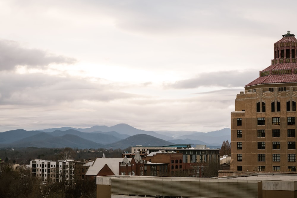 Hilton Garden Inn Asheville Downtown - photo 80