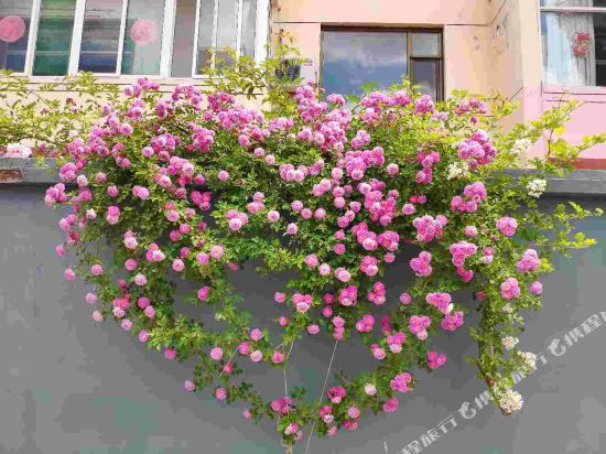 Tie Nini’s Inn in Leping, People's Republic of China