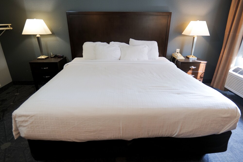 Baymont by Wyndham Flint Airport North - photo 22