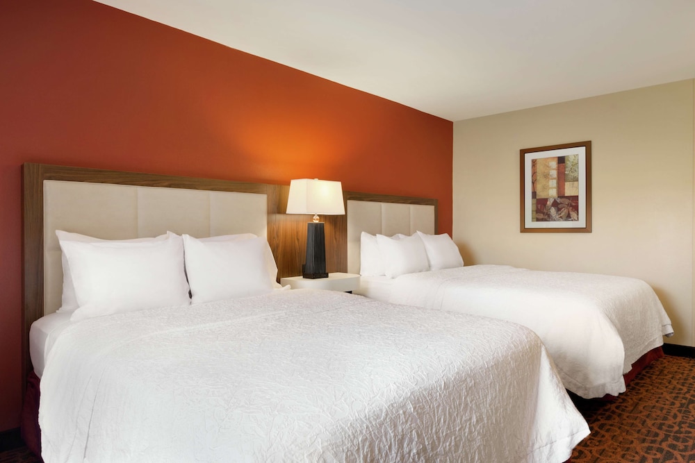 Hampton Inn Wichita Falls Sikes Senter Mall - photo 13