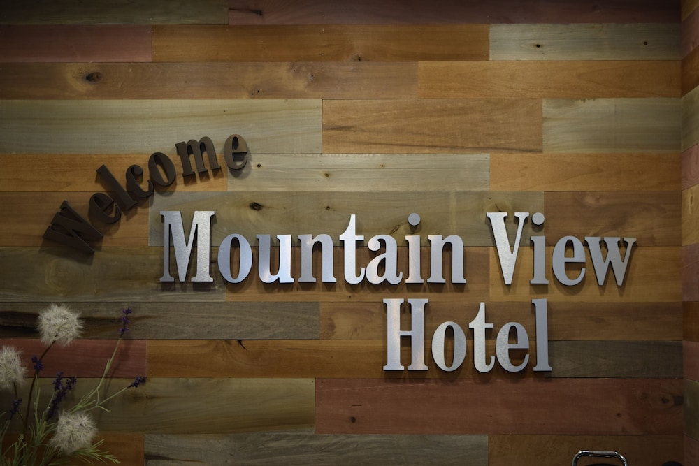 Mountain View Hotel - photo 2