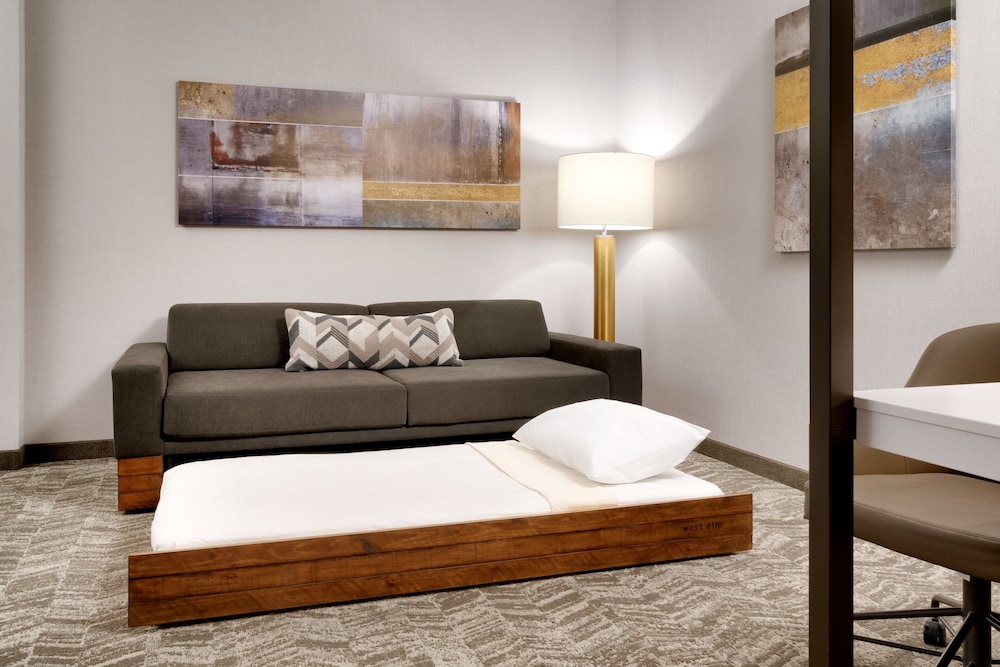 SpringHill Suites by Marriott Phoenix Scottsdale - photo 9