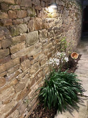 Ty GuenhaA l petite maisonnette avec extAcrieur intra muros proche port de Vannes in Vannes, France