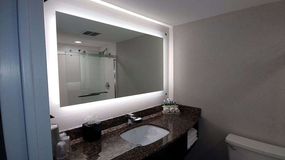 Holiday Inn Express Rolling Meadows Schaumburg Area by IHG - photo 14