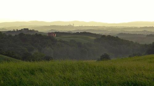 Agriturismo San Fabio — 4-Star Luxury Hotel in Castelnuovo Berardenga, Italy
