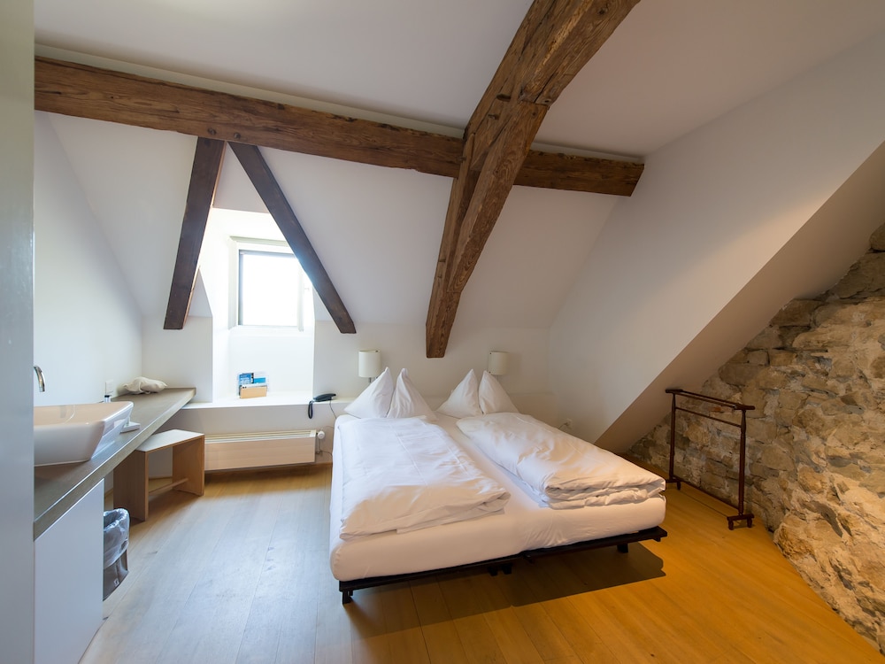 Hotel St. Petersinsel pet-friendly hotel Erlach