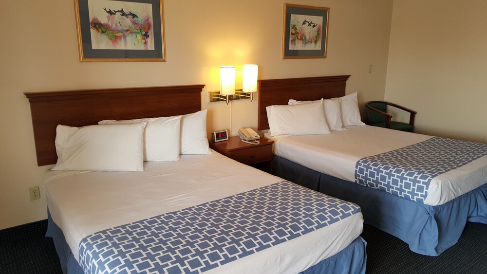 Flamingo Inn - photo 7