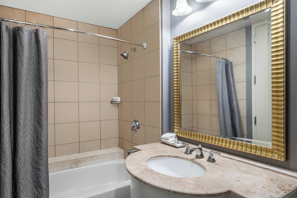 Renaissance Dallas North Hotel - photo 30