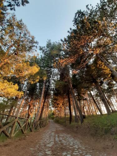 Il Campanile Civico 35 pet-friendly hotel Aieta