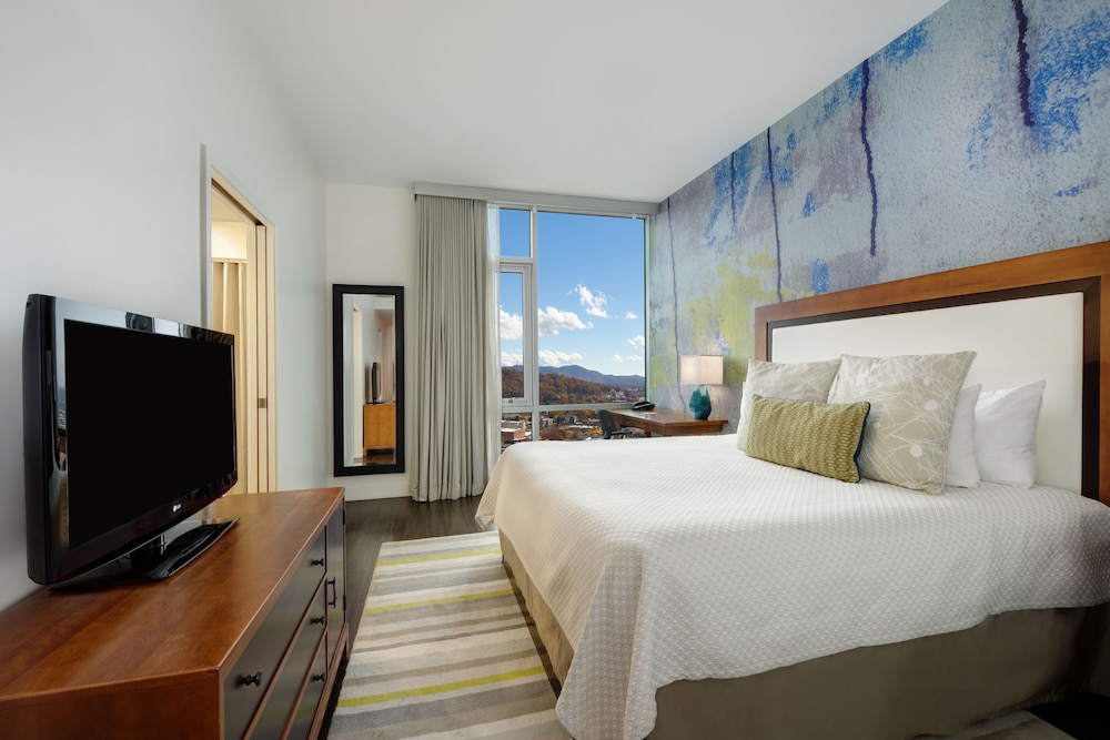 Hotel Indigo Asheville Downtown an IHG Hotel - photo 4