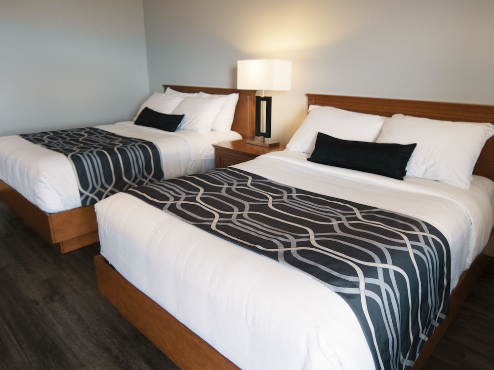 Hôtel le Voyageur — Sept-Iles — photo 5